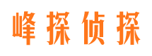 番禺侦探